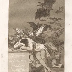 The Sleep of Reason Produces Monsters