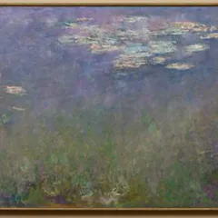 Water Lilies